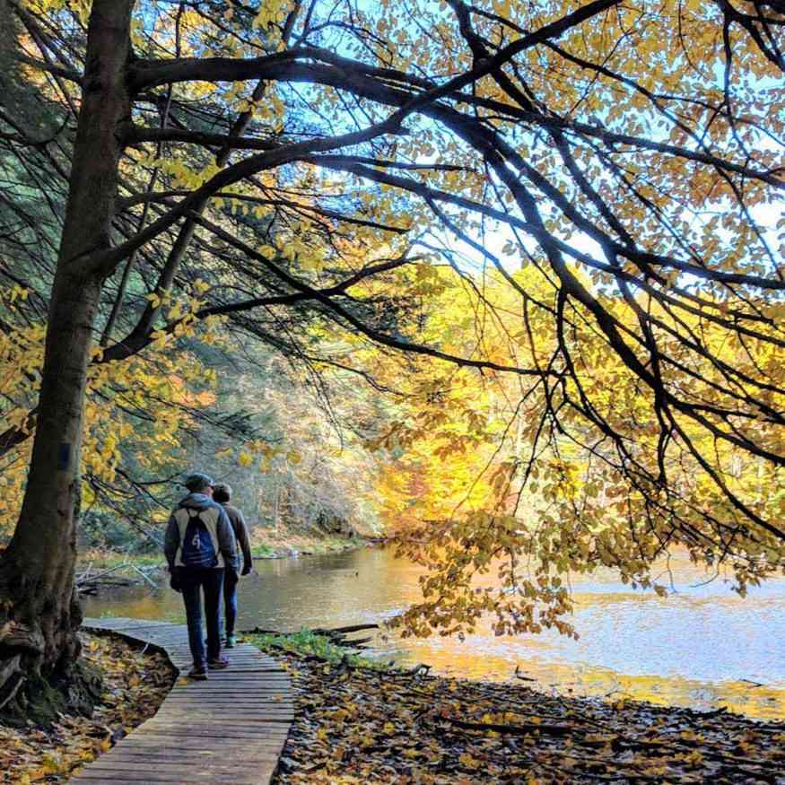 Pond at Durand Eastman Park